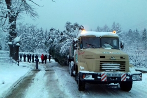 KrAZ Delivers Huge Green Tree from Subcarpathia to Kiev